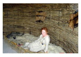 navan-celtic-woman-bed-4587213